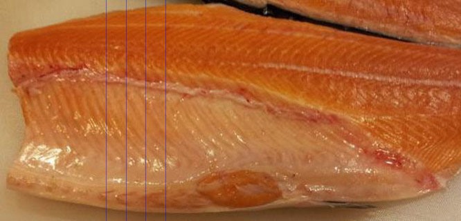 三文魚加工檢測方案 三文魚加工檢測方案