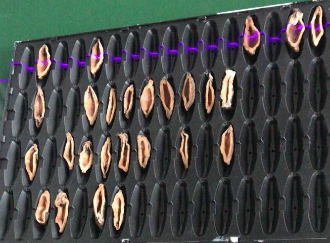 檳榔口味是如何利用高新技術(shù)加工的？