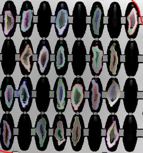 檳榔口味是如何利用高新技術(shù)加工的？