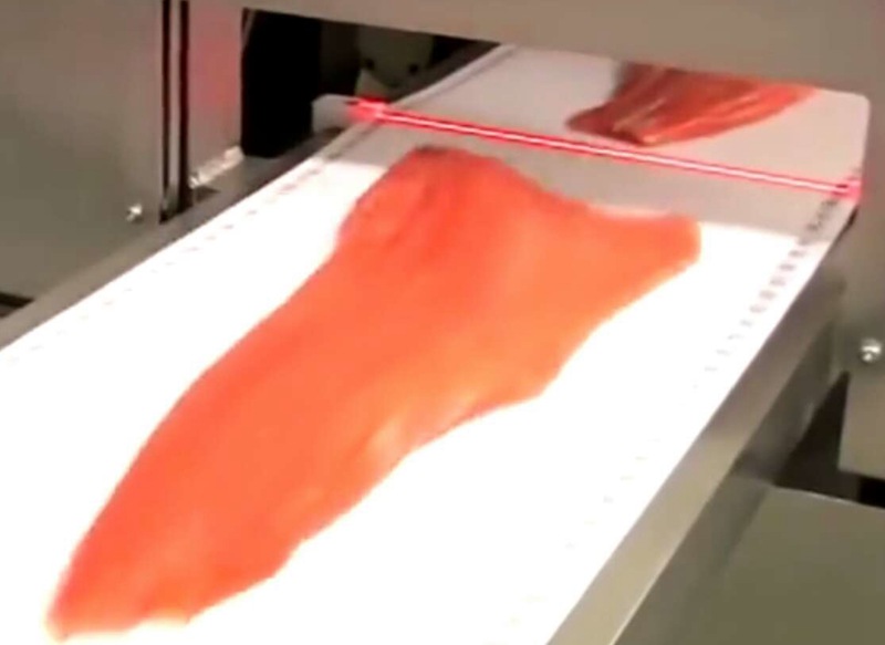 三文魚加工檢測方案 三文魚加工檢測方案